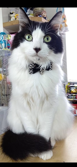 8歳になりました🎉