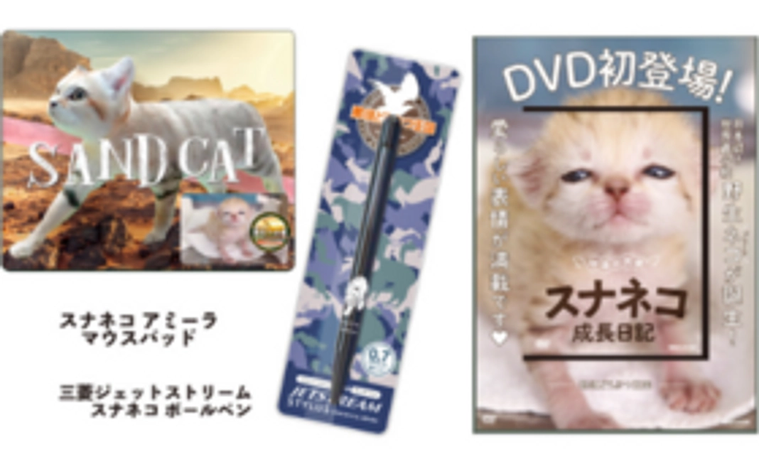 【NEW!】B-4 グッズで応援 | スナネコ アミーラDVD