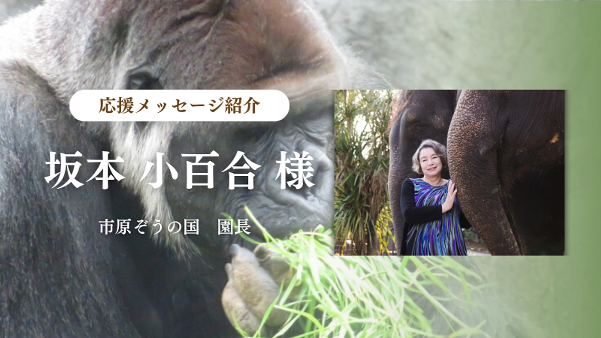 市原ぞうの国　園長 坂本 小百合様からの応援メッセージのご紹介