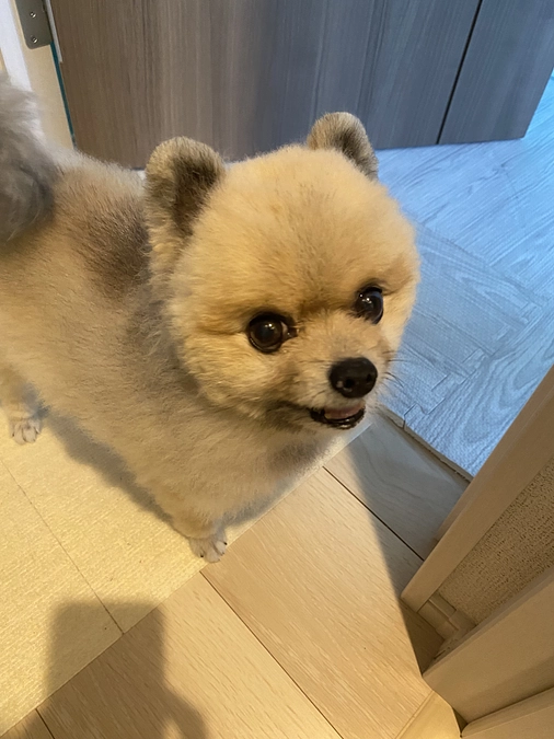 クラウドファンディング1日目ありがとうございました。