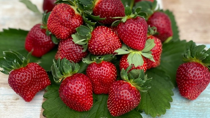 くろいちご(真紅の美鈴)を身体障碍者の妻と広めたい