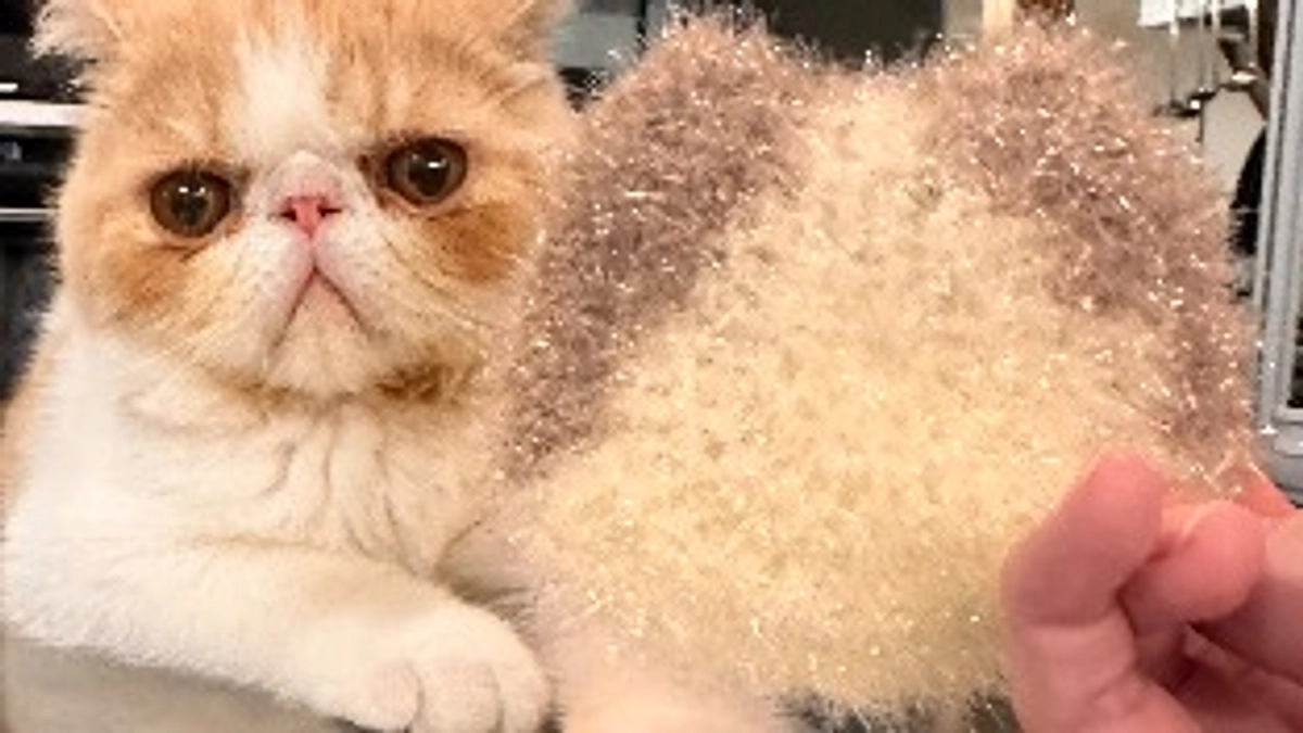 リターンについて