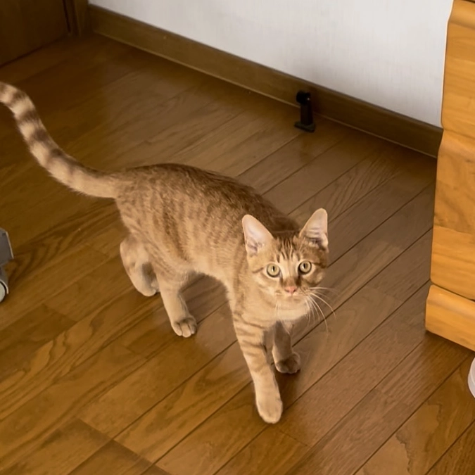 感謝のメールについて💌