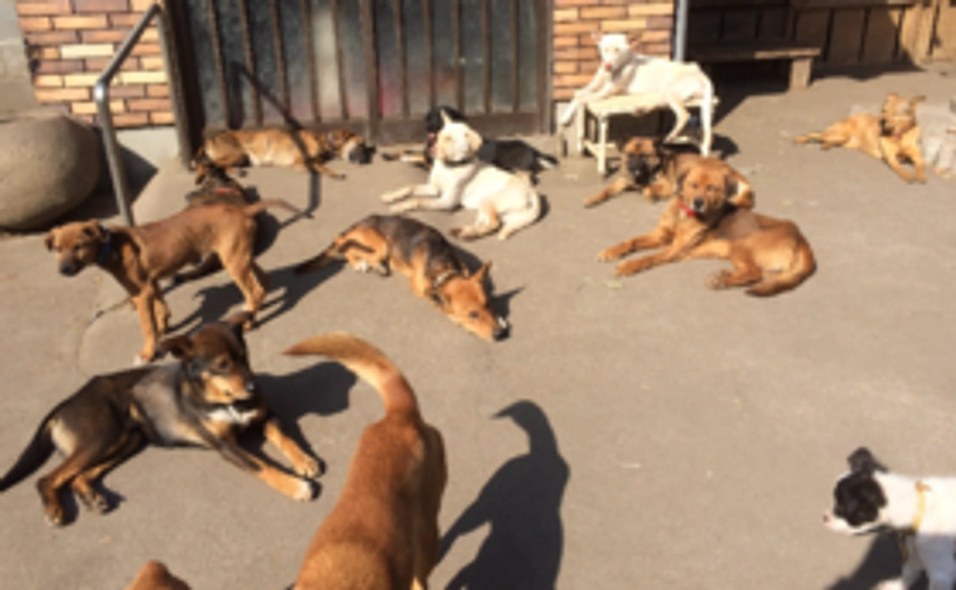 あたたかい応援を心から感謝いたします