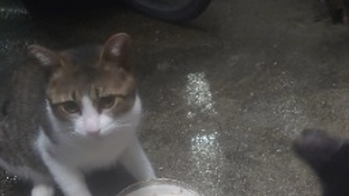 欲しい物リストの件です。