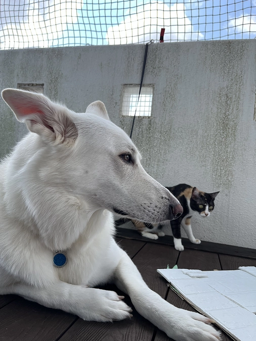 本日8月30日、明日31日21時より、インスタLIVEをいたします。