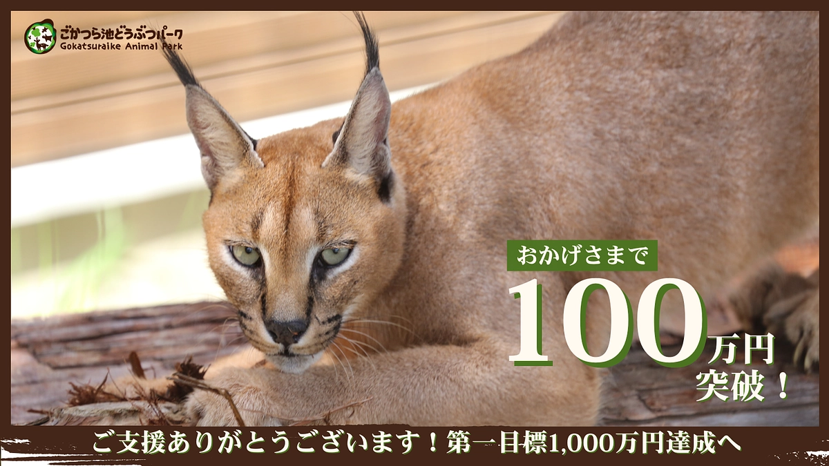 目標金額の10％を達成しました！！！