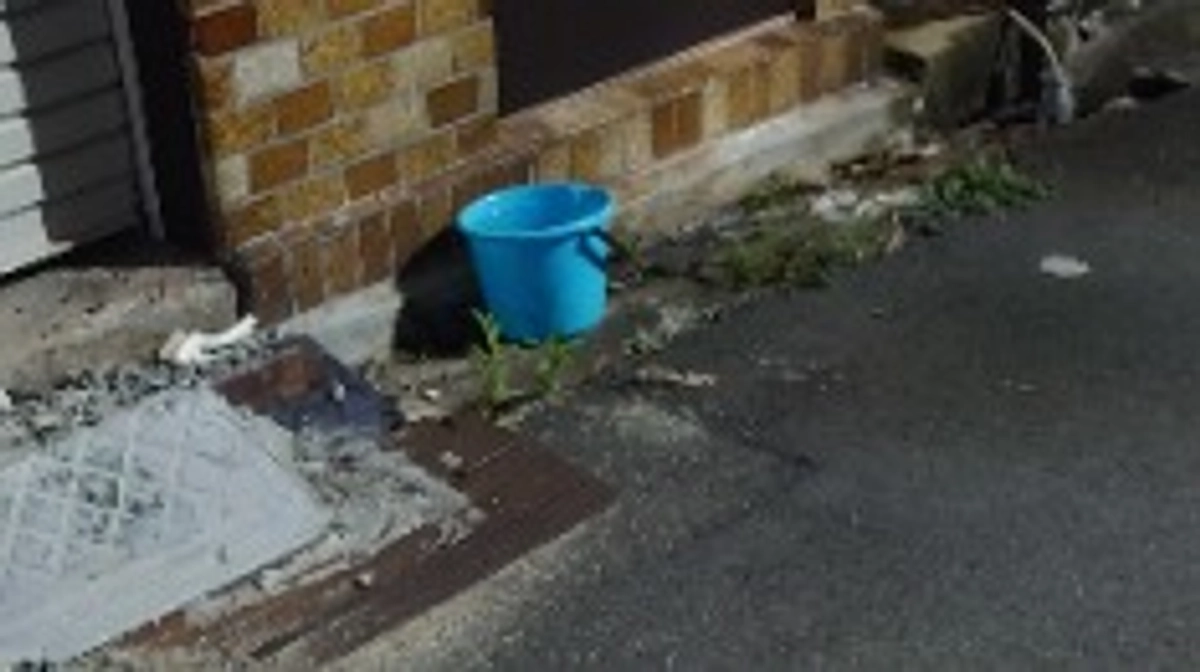 支援者にお願いです。