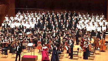 日本では滅多に開催されない歌劇『ハムレット』公演を実現したい のトップ画像