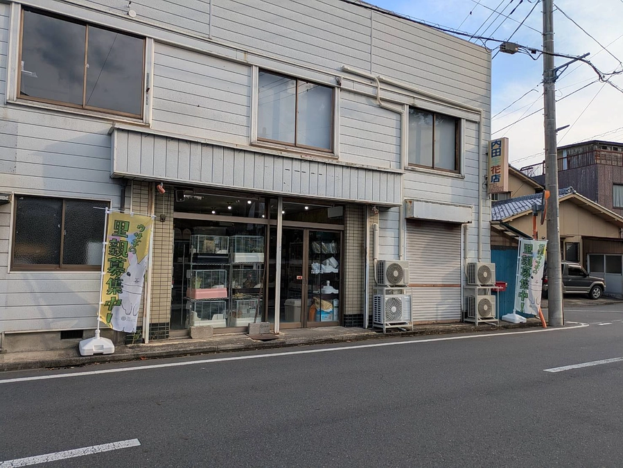  行田うさぎハウスが、7月20日に無事オープンしました！