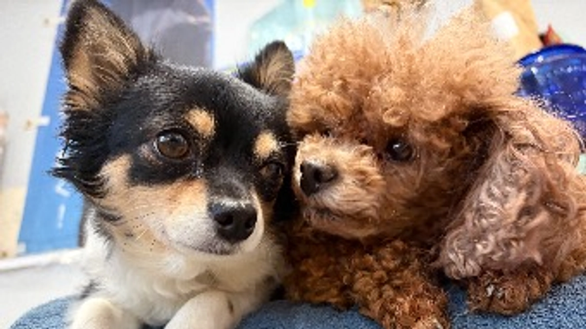 ご無沙汰しております