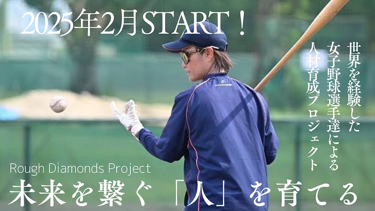 Rough Diamonds Project