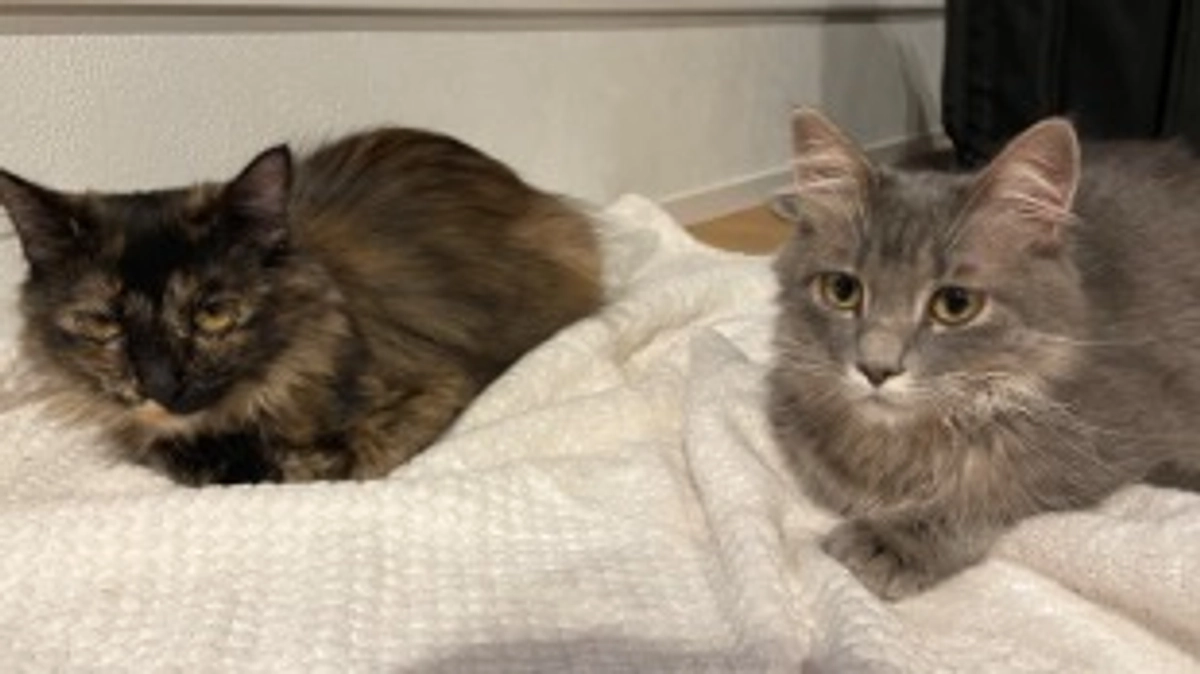 残り46日！経過ご報告⭐︎