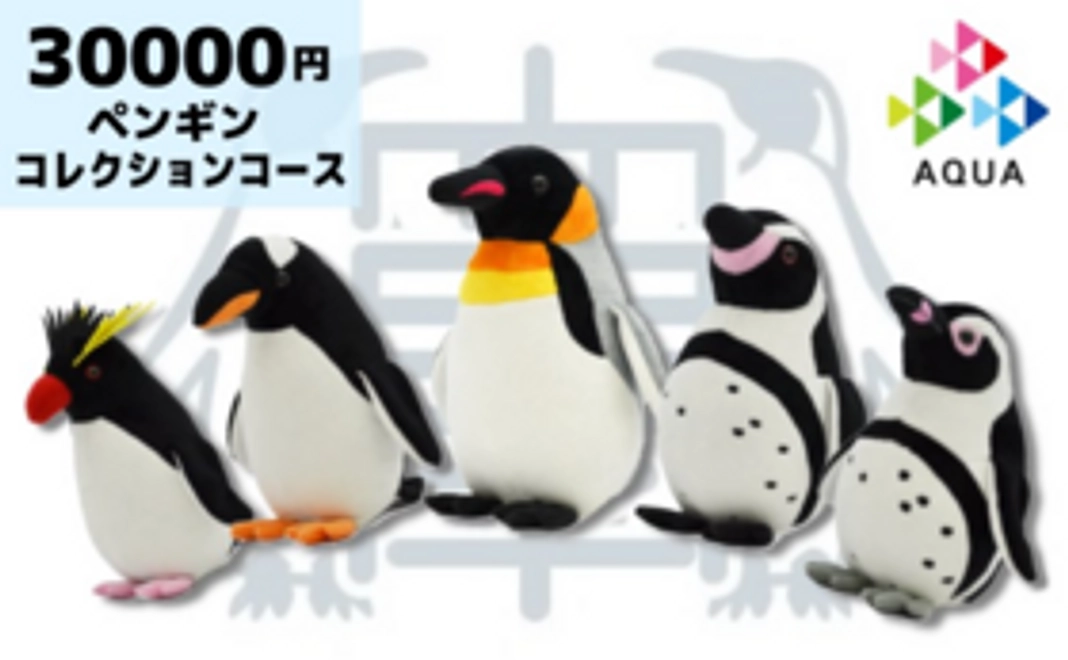 3万円｜ペンギンコレクションコース