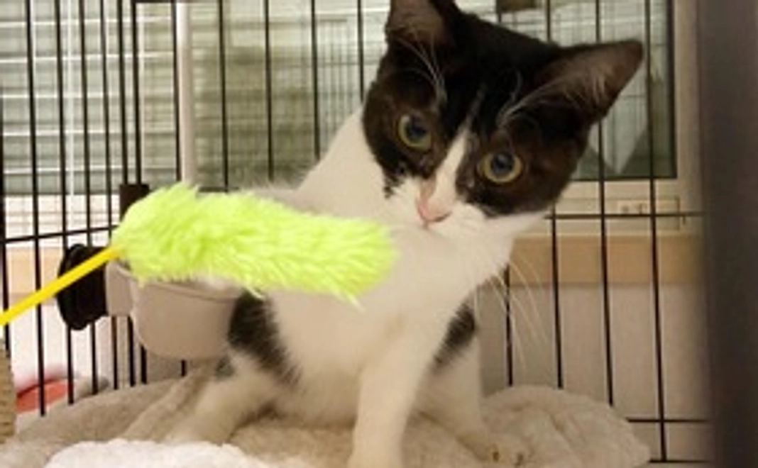 ポトリ応援! 3,000円コース