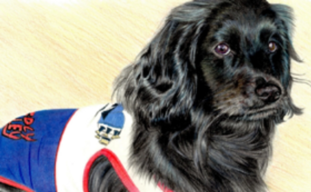 猫カフェサービス券・その他