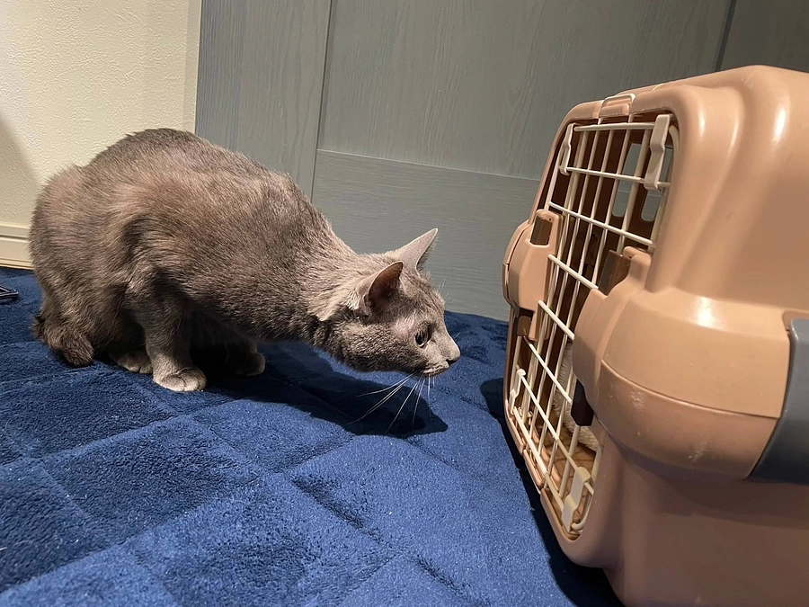 ２月１５日は、水沢ちゃんのお届けでした♪