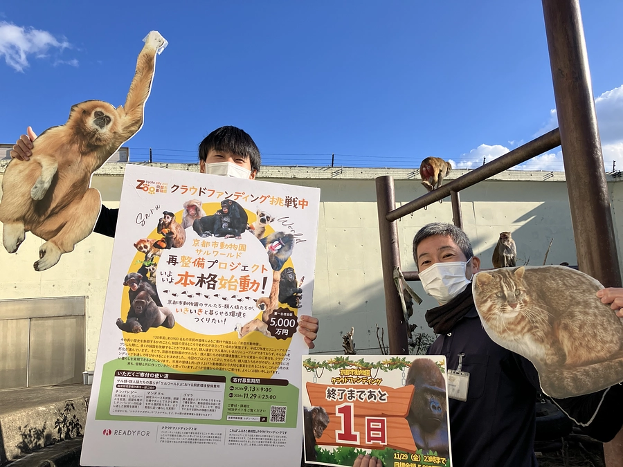  【いよいよあと１日！】応援コメントのご紹介 ＼最後までよろしくお願いします／