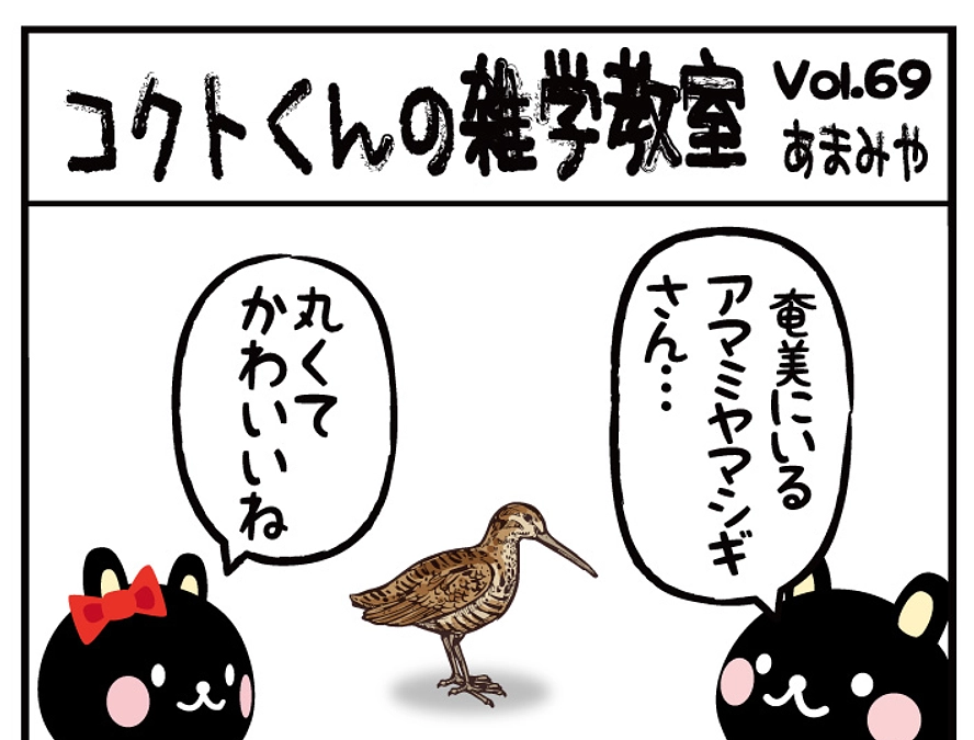 奄美市だよりで紹介されました