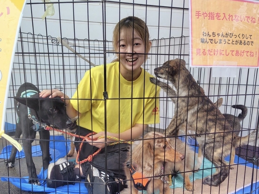 ボランティアの胸のうち　学生Mさんより