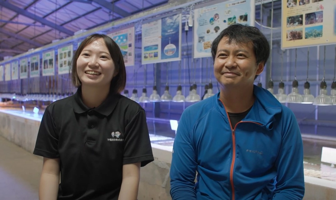 サンゴ養殖に携わる沖電開発株式会社の高嶺さんと佐藤さん