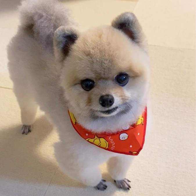 さっぱりしたね