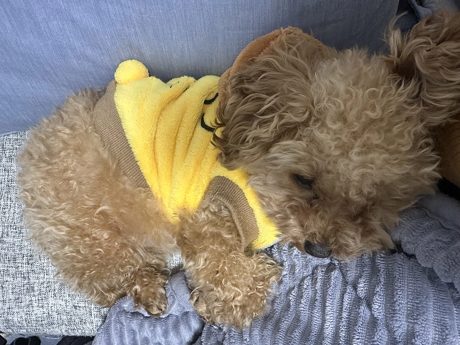 残り６日33.7万円不足しています。