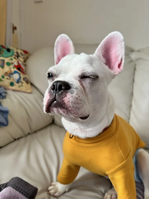 活動6日目を終えて