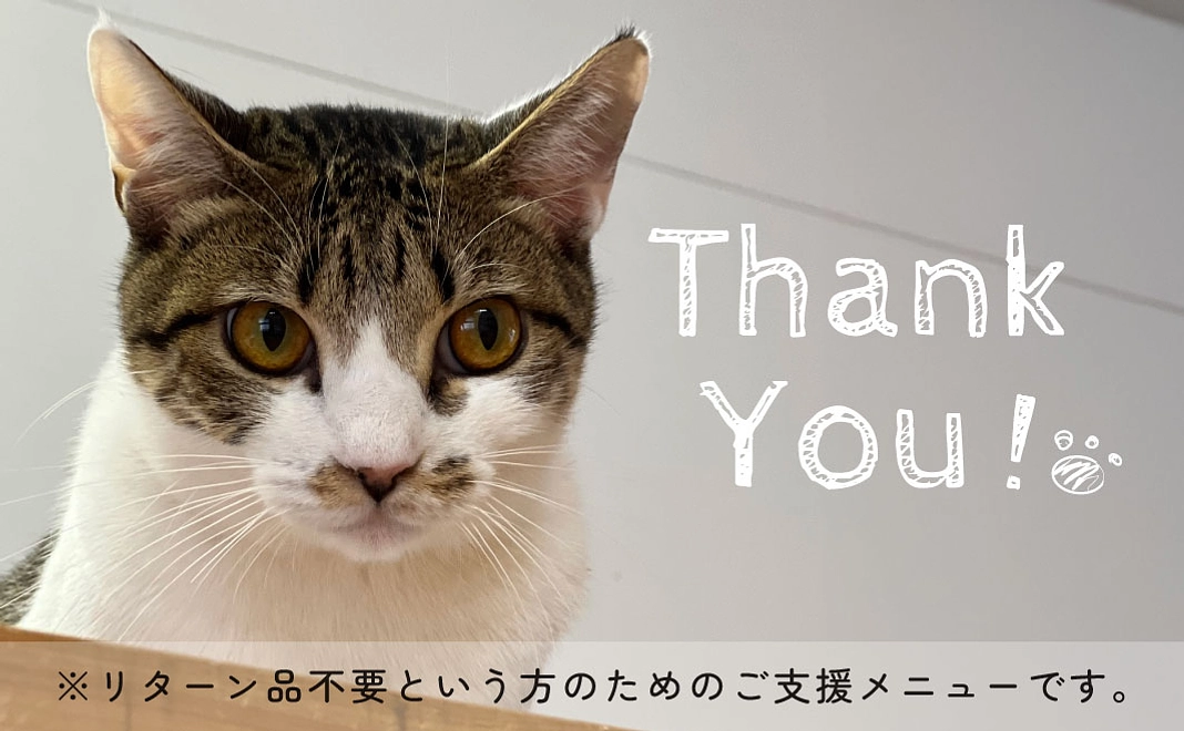 2,000円のご支援