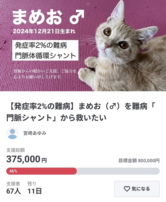 【あと11日】生きるチャンスを「オールオアナッシング」