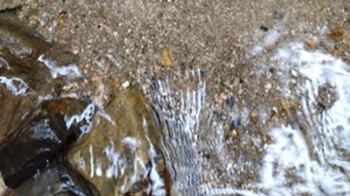 実行委員会メンバーからのメッセージ　＃２