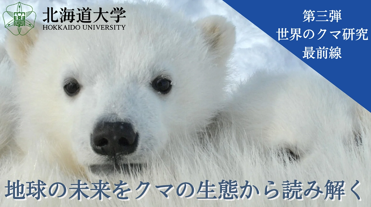 北海道大学で「第3弾！世界のクマ研究最前線」クラウドファンディング