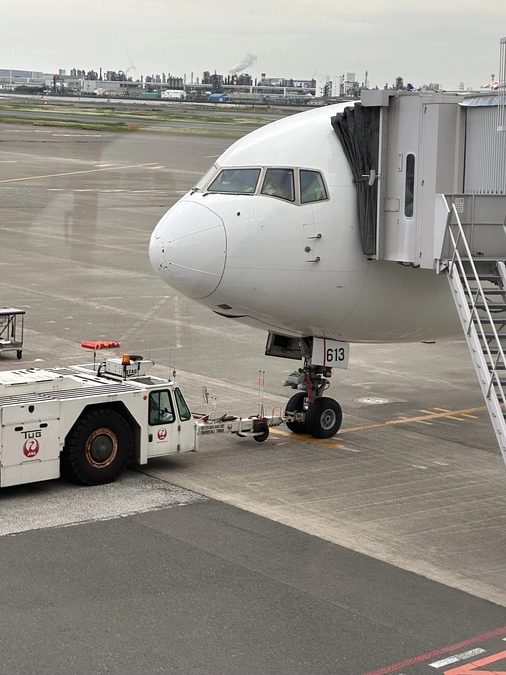沖縄の愛護センターから犬を３人レスキュー
