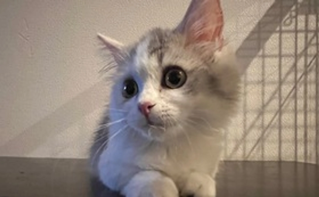 ととまる応援コース⑵