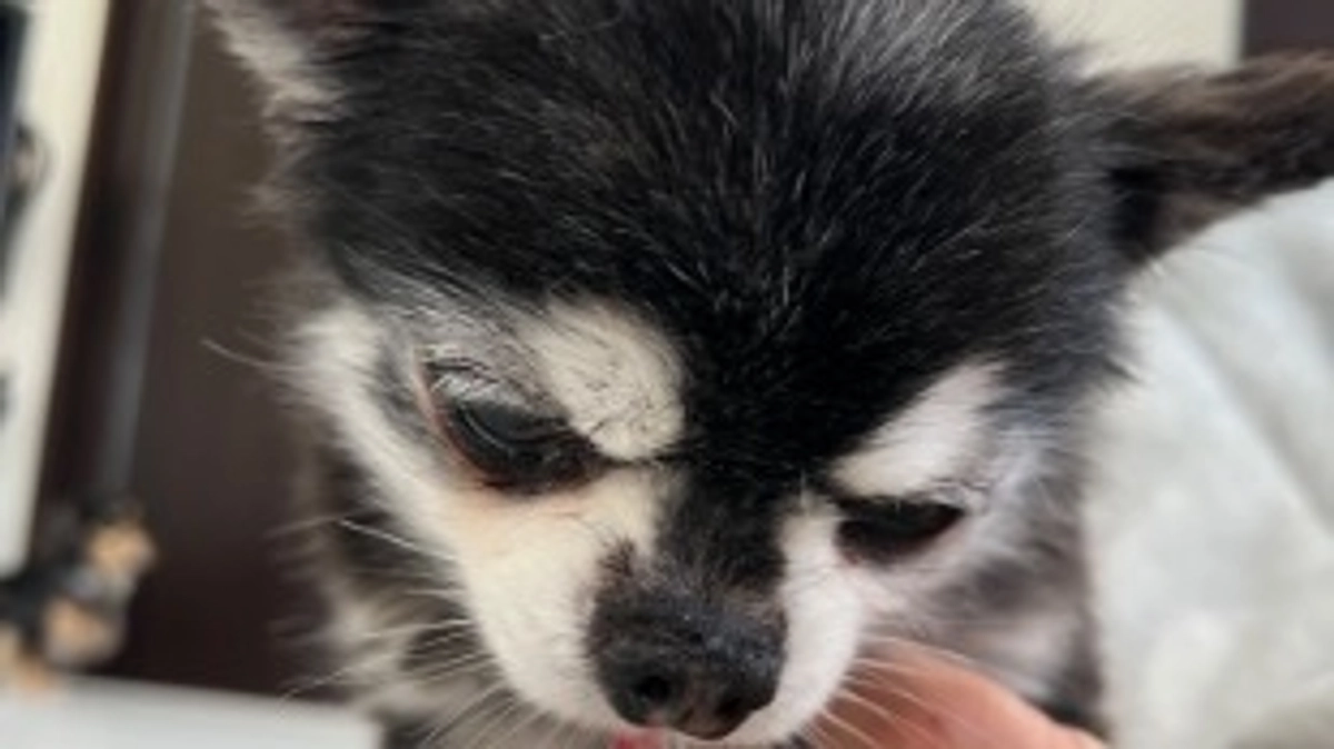 残り時間12時間　今日の23時締切です。