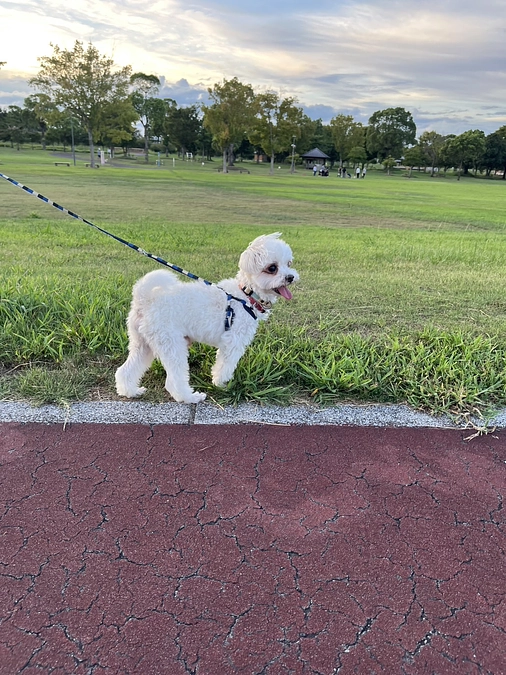 元気にしています