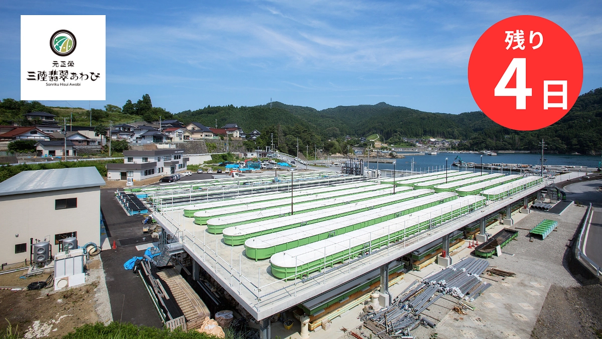 【募集終了まであと4日】皆様からの温かい応援コメントに感謝です！