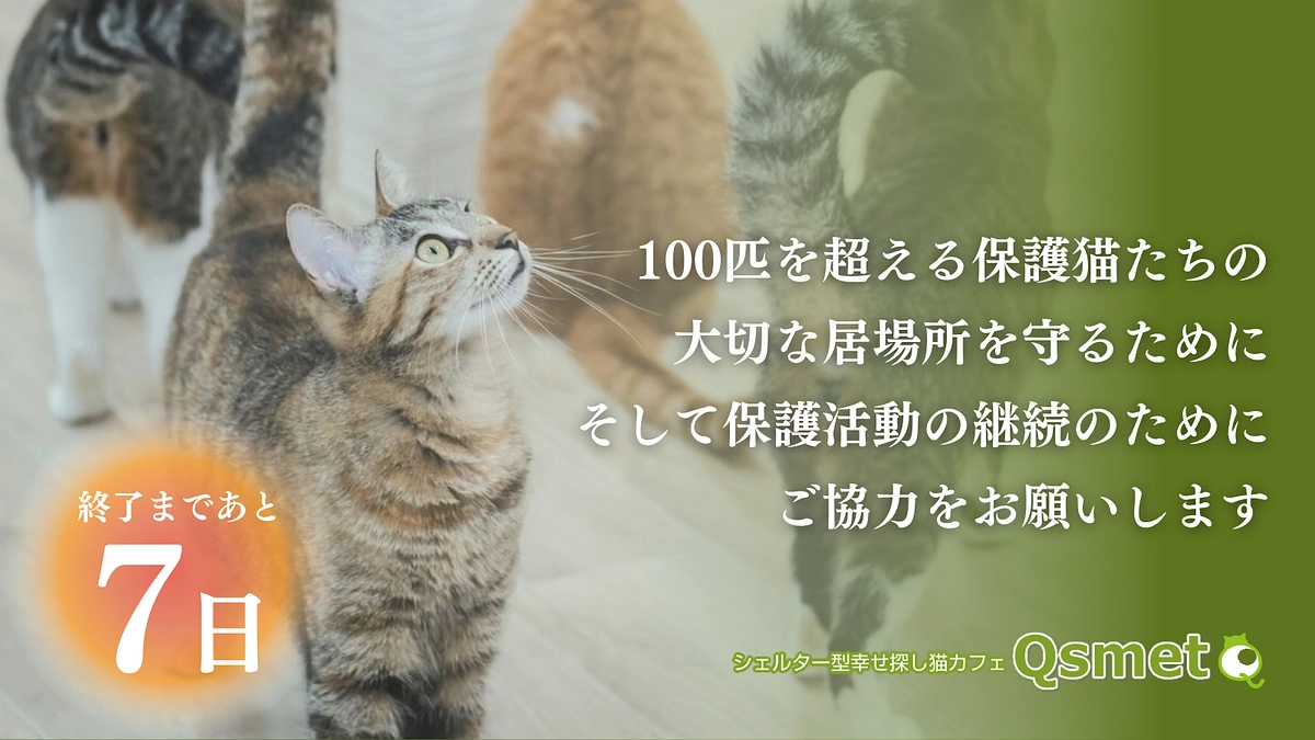 カウントダウン残り7日！皆様の温かい応援に感謝いたします！