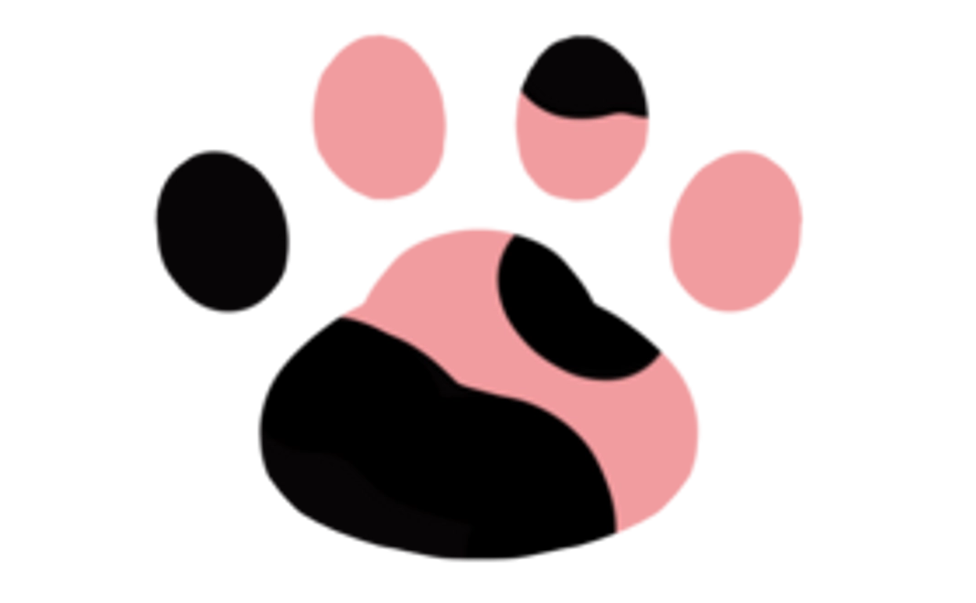 【3000円コース】お薬支援