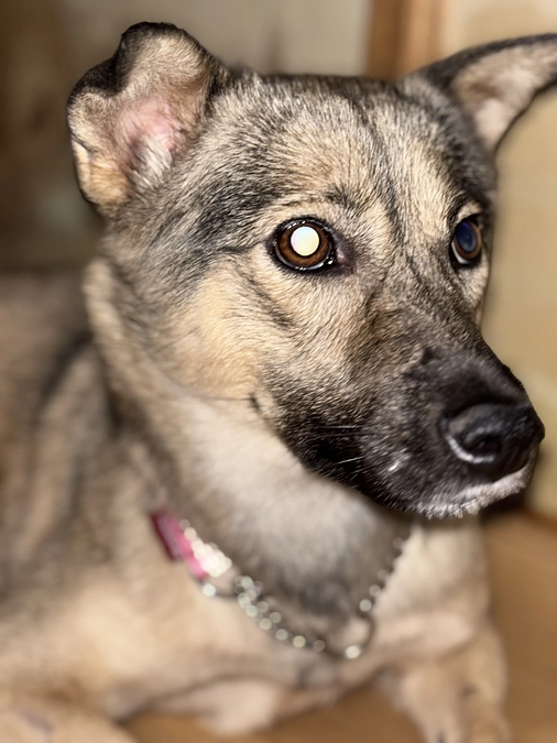 残り24時間に迫ってきた