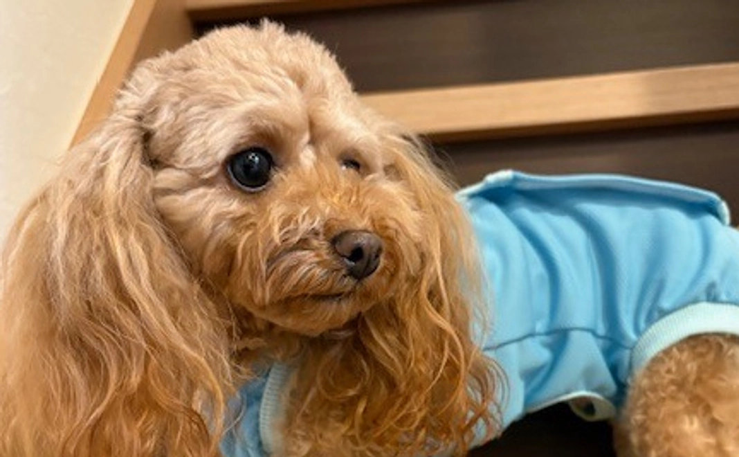 ゆむのサポーターになってください！No.3