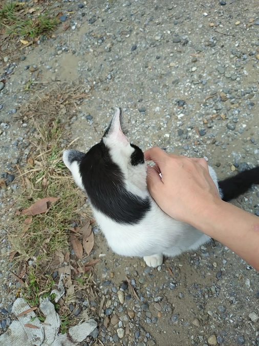 やっと使ってくれる子が…！