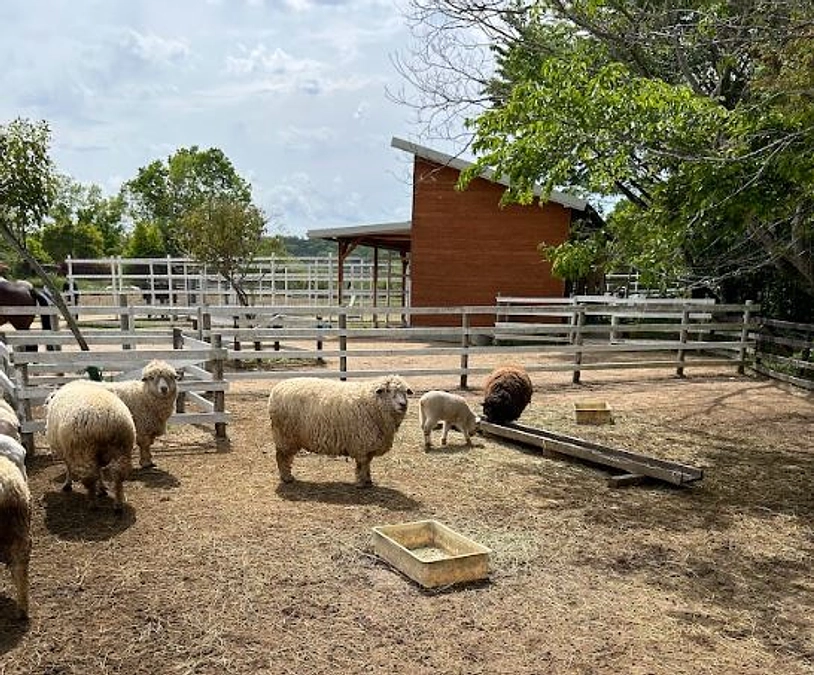 応援メッセージを紹介いたします！（１）