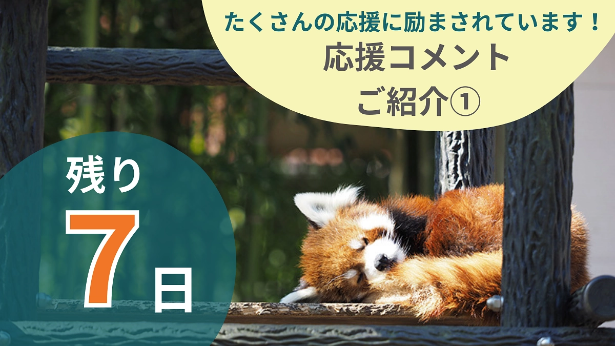 残り７日！たくさんの応援に励まされております！【応援コメントのご紹介①】