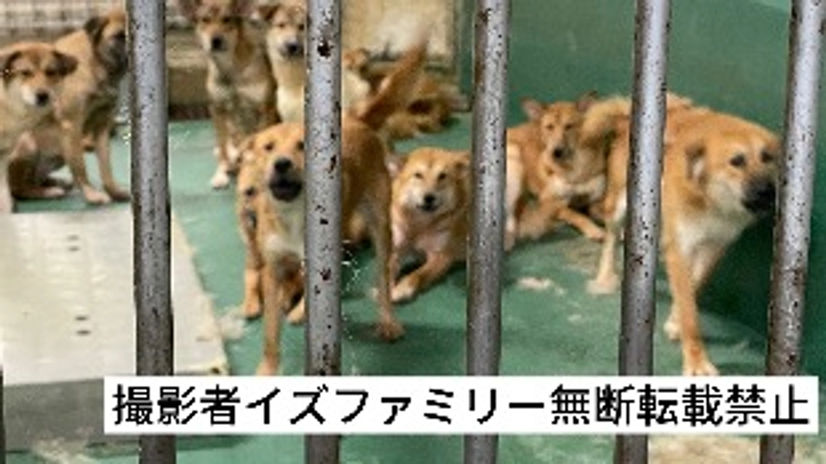 『命』を繋ぐ大きなプロジェクト