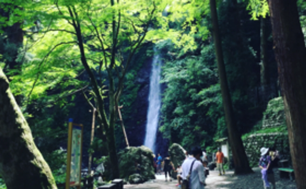【養老満喫プラン！】養老公園周遊チケットをお届けします！