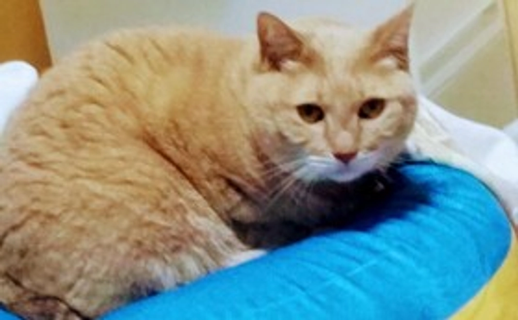 1.感謝のメールと写真