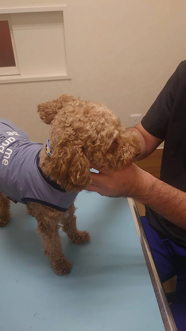 クルの近況報告　9月