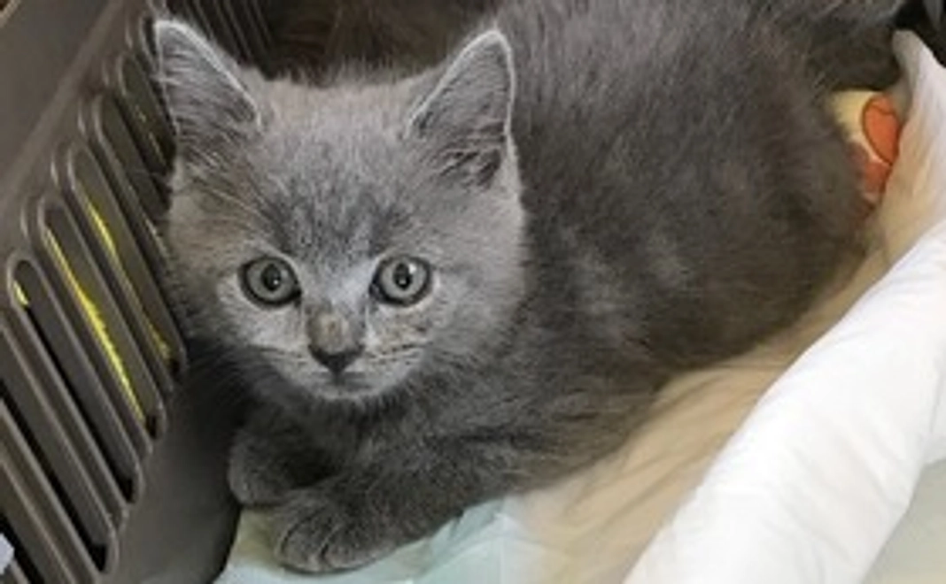 通院サポートに感謝いたします!