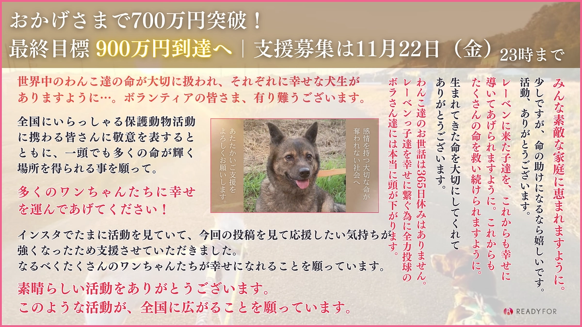 あと8時間！募集終了は23時まで！いただいた応援メッセージのご紹介です！